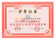 2017ӱʡͬИI(y)I(lng)܊ƷI(y)