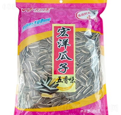 宏洋五香瓜子480g零