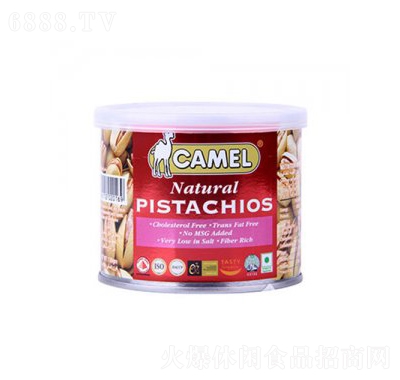 洋一駱駝牌開(kāi)心果辦公室